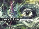 Hold Your Colour (2018 edition) [VINYL], Pendulum, New