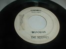 The Squires 45 WONDERIN Anaconda 1964 Missouri Garage Surf PEBBLES Nuggets MOXIE
