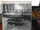 Fatal Rage Lp Mutha Records MINT