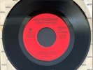 LYNYRD SKYNYRD WHAT'S YOUR NAME NM- RARE 1977 RED STAR LABEL PROMO 45 7'
