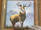 Killdozer - Twelve Point Buck (LP Vinyl Touch And Go Original)