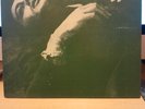 The Smiths: The Queen Is Dead LP