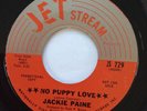 Jackie Paine - No Puppy Love - Jet Stream (Promo) Original Northern Soul