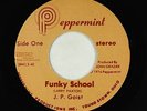 Funk Rock 45 - J.P. Goist - Funky School - Peppermint - obscure