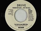 Modern Soul 45 - Wizdom - I'm So In Love With You - Drive - NM