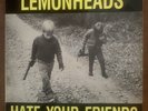 Lemonheads - Hate Your Friends 1987 TAANG 15 Yellow Label 1st Pressing