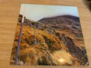 SECTION 25 LP FROM THE HIP FACTORY JOY DIVISION FACT 90