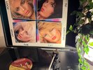 POISON - Look What the Cat Dragged In - LP EX/EX - MFN 69 A1/B1 - Vinyl