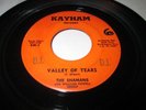 THE SHAMANS VALLEY OF TEARS/ SHUBBY DUBBY DOO 45 7