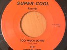 THE YOUNG ONES  Too Much Lovin' / Harbor Melon  SUPER-COOL NC GARAGE 45RPM NM-