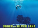 DISASTERPEACE Under The Silver Lake 2x LP NEU VINYL Milan a24 Soundtrack oop-