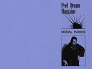 PEEL DREAM MAGAZINE Moral Panics (Vinyl) (US IMPORT)