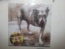 Alice In Chains Self Titled Vinyl Tripod On Green Vinyl Sealed NEW
