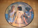 PINK FLOYD-Rare Beauties-Picture Disc-Hard to find collectable-Unplayed.