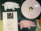 Pink Floyd Live In Zurich 1977  Very Rare Limited Edition to 150 Copies NM