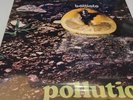 FRANCO BATTIATO - POLLUTION (LP VINILE COLORATO NUOVO SIGILLATO GATEFOLD 2023)