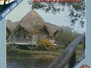 REY CANEY CON EL CONJUNTO CANEY - DESDE CUBA CON RITMO - LP AREITO SPAIN - 1985
