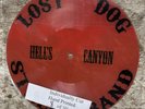 Lost Dog Street Band / Hells Canyon 7