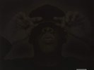 Jay-Z - THE BLACK ALBUM - Vinyl LP - New SEALED - Explicit