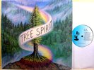TREE SPIRIT - '85 private lbl EX/NM California hippie folk rock LP - signed