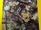 LP ITALIAN PROG CLAUDIO ROCCHI 