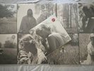 Taylor Swift Folklore ALL COLOR VARIANTS - OG Presses - 2020 USA