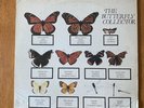 The Jam - The Butterfly Collector Live USA Double Lp Vinyl - Paul Weller