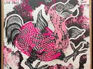 Houdini Live 2005 by The Melvins (Record, 2023)