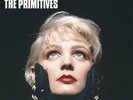 *PRESALE* Primitives: Best Of Primitives (2LP Coloured)  LP vinyl *SEALED*