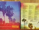 DOGSTAR KEANU REEVES SIGNED SOMEWHERE BETWEEN PALM LP WATERMELON VINYL LOOK