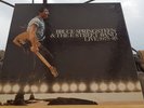 COFFRET 5 LP BRUCE SPRINGSTEEN STREET BAND LIVE 1975