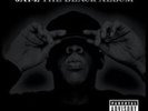 Jay Z - The Black Album Nuovo 2 X LP