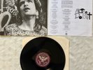 ALICE DONUT -  'Mule' LP - Alternative Tentacles Records Original 1990