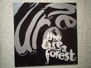 Disque Maxi 45 Tours The Cure A Forest
