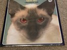 Blink-182 - Cheshire Cat LP - vinyl Rare Canadian Red Eyes Pressing