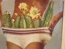 White Denim Stiff (Vinyl) New  First Press