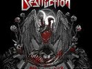 Born to Perish [Vinyl LP] , Destruction