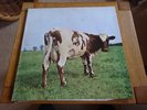 Pink Floyd - Atom Heart Mother 1970 vinyl LP early pressing