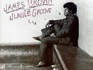 James Brown - In The Jungle Groove - Used Vinyl Record - A12214z
