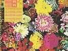 Ra Ra Riot Superbloom Yellow (Vinyl)