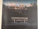 MUMFORD & SONS – WILDER MIND - VINYL LP BLACK - VG+ - 14
