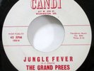 the GRAND PREES 45 Sit and Cry / Jungle Fever CANDI doowop MINT-  #2954