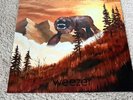 Weezer Everything Will Be Alright In The End Vinyl LP 2014 No Reserve Auction