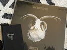 The Duke Spirit Bruiser UK Vinyl LP With Liela Moss Handwritten Notebook RARE