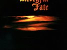 Mercyful Fate Into the Unknown (Vinyl) 12