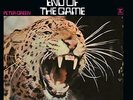 Green, Peter End Of The Game (1Lp/Black) VINYL LP NEW