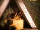 Kate Bush Lionheart (Vinyl) 12