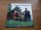 LP-THE DEAD MILKMEN-Beelzebubba-1988-Enigma Records-Punk Rock Girl-lyric sheet