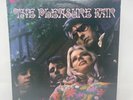 VINYL LP by THE PLEASURE FAIR 