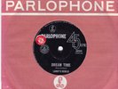 LARRY'S REBELS Dream Time / Painter Man 45  Promo  SirH70